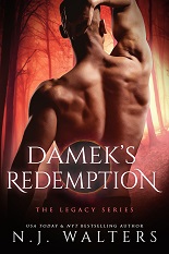 Damek's Redemption excerpt
