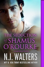 The Seduction of Shamus O'Rourke excerpt